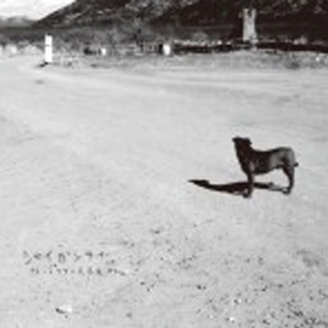 テメーのケツに火を点けて